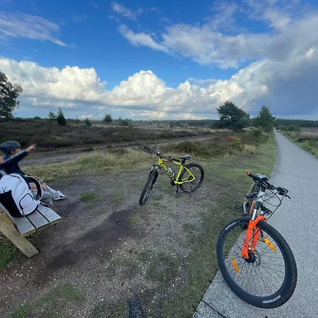 Beachhouse Veluwemeer Mit Grossem Garten In Strandnaehe